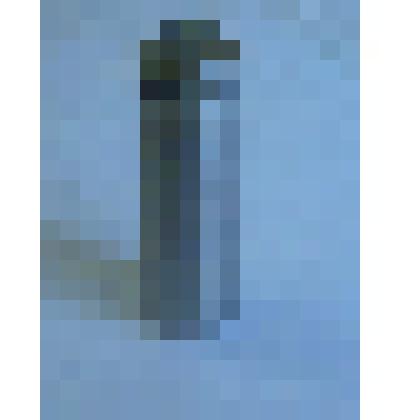 Капсула с землей из г.Ватутино