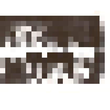 Фотография: митинг, посвященный закладке монумента в честь 20-летия освоения целинных и залежных земель. Пионеры города Камень-на-Оби приветствуют участников митинга