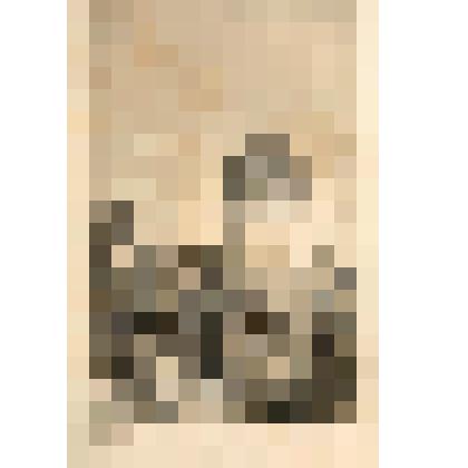 Литография. "Троицкий монастырь. Московская губерния. Южный вход. Так называемая башня святых."