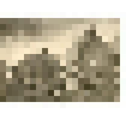 Фотография. Павел Семенович Жуков на уборке сена