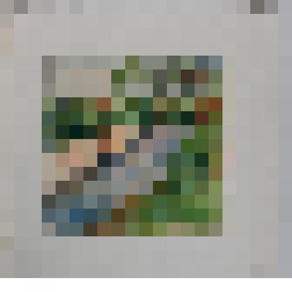 На берегу Истры. Песчаный берег. Купальщики