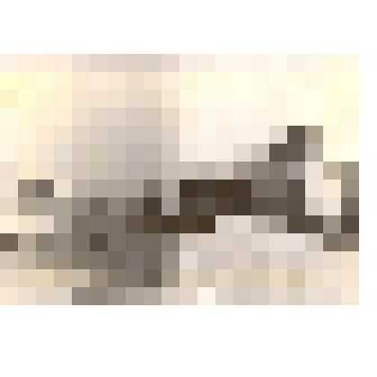 Фотография. Комната красного уголка 2-й производственной бригады в колхозе имени 20 партсъезда с.Корнилово Каменского района Алтайского края