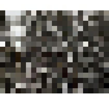 Башня Троицкого монастыря. Мичуринск