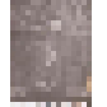 Ч/б фотография писателя В.С. Сузы