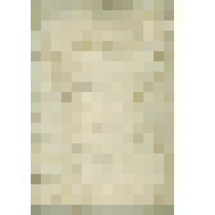 Журнал  Сольвычегодского  Сиротского  суда