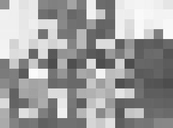 Фотография. Бородин Г.П. с коллегами