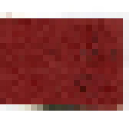 Членский билет ДОСААФ Серия А № 193021* Мокрякова Б.П