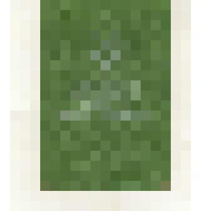 Документальный фонд/ Документы участников ВОВ. Билет члена Всероссийского добровольного общества автолюбителей Папулова Николая Петровича. Вступил в июле 1975 г.от первичной организации завод "Легмаш" г. Абакана