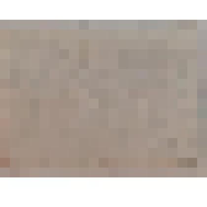 Этикетка. Пиво «Московское»