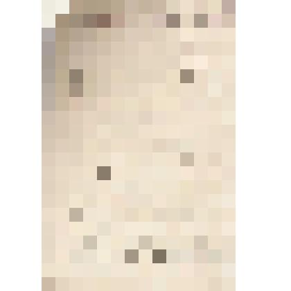 Письмо В.О.Алину в г. Чердынь от Н. Козьминых их с. Каракулино, 23.04.1904 г