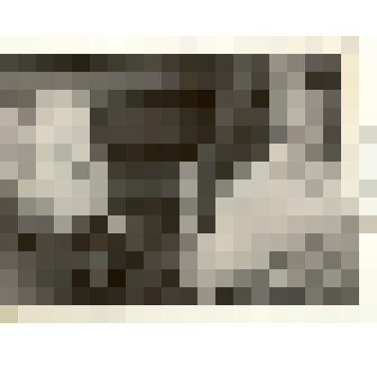 Фотография: Сидорина Нина, зоотехник-птичница совхоза "Октябрь" Каменского района Алтайского края