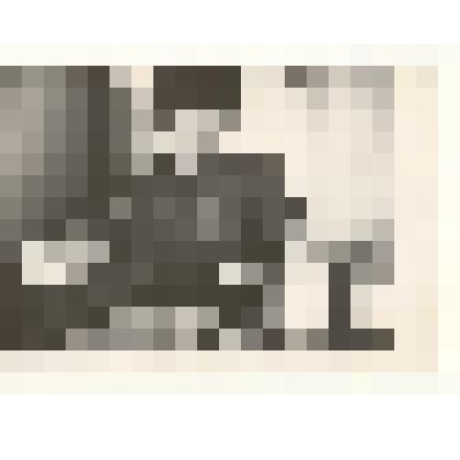 Фотография: дрожжевание кормов в Чапаевском отделении совхоза "Октябрь" Каменского района Алтайского края