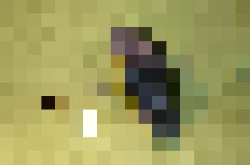 Зонтик-парасолька