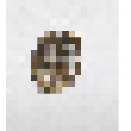 Монета (чешуйка петровской эпохи)