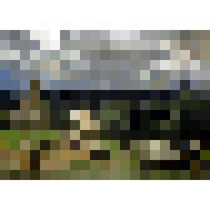 Картина. В лесах. На севере