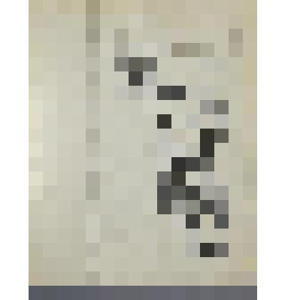 Живые марки "Мадагаскар"