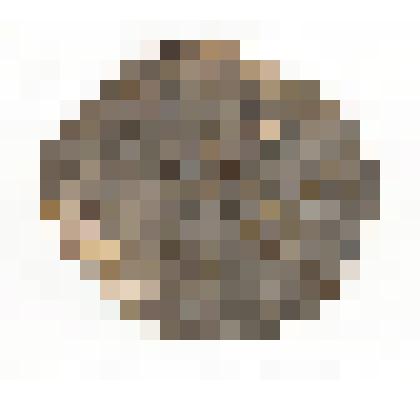 Щит. Из комплекта вооружения с отделкой кожей крокодила