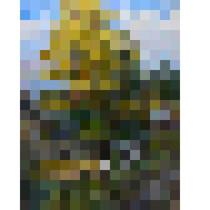 «Осень. Мальта». Картина