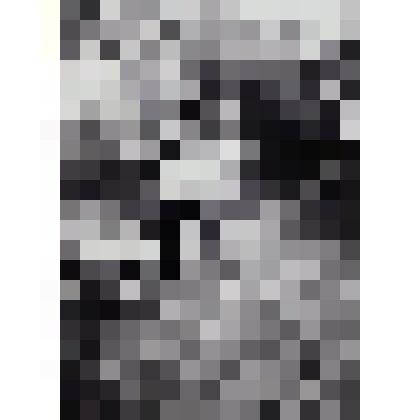 Лето в Алабино