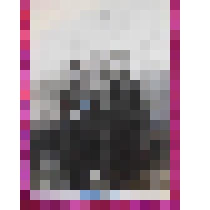 Фото. И.М. Стариков