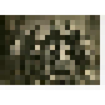 Фотография. П.Ф. Цветков, житель села Коломенского с однополчанами 