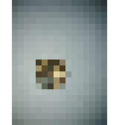 Монета 2 копейки 1984 г