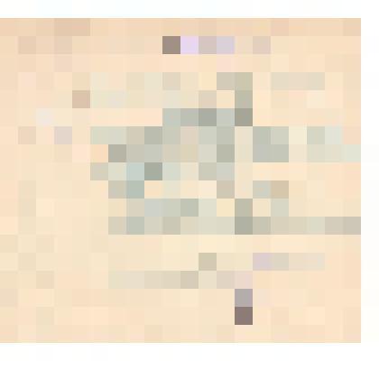 Документ. Извещение об Агитпроп. совещании Горнового Н.И