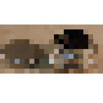 Объектив "Индустар-50" № 5792085 Максимова Е.К. из коллекции материалов Максимова Евгения Константиновича, саратовского ученого, историка, краеведа, доцента СГУ, Заслуженного работника культуры РФ