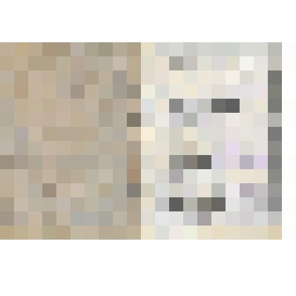 Документ. Членский билет № 45 Лебедева Петра Парфеновича, члена объединенного клуба профессиональных союзов советских торговых служащих города Кинешмы.
   Из коллекции материалов о Лебедеве Петре Парфеновиче (1892 г.- середина ХХ в.), уроженце деревни Шел