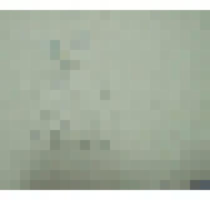 Семейная пара. Рисунок