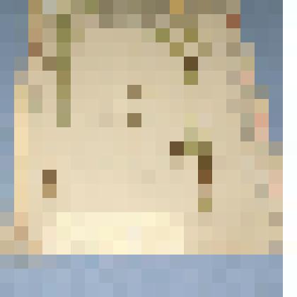 Ботаническая коллекция. Девясил британский, на гербарном листе,Красноярский край, Идринский  район, с. Идра, болото около горы Тигей. Compositae Iuula britannica bor rahosissima L