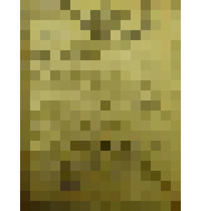 Документ. Газета красноармейская "Мы победим" № 108 от 07 августа 1944 г., орган 49-ой Ивановской стрелковой дивизии