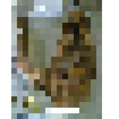 Композиция "Палестинцы"