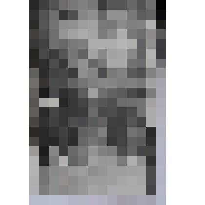 Фотография- братья Вегнер