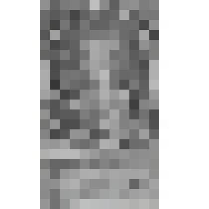 Портрет Юстутса Бомера