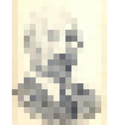 Портрет Рождественского Бориса Григорьевича