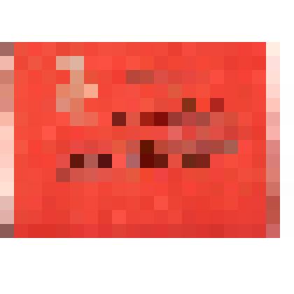 Документ. Мандат № 94 Егоровой Нины Николаевны, делегата ХII Ивановской областной профсоюзной конференции рабочих текстильной промышленности. Из коллекции материалов о Егоровой Нине Николаевне (1946), уроженке д. Лодыгино Кинешемского района Ивановской об