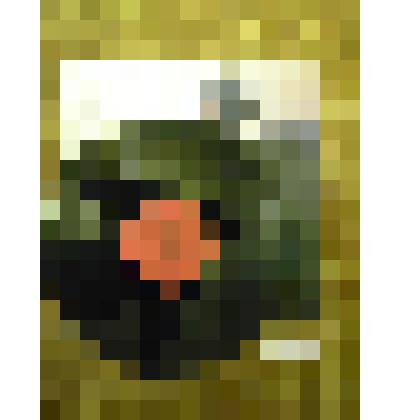 Грампластинка. В.Добрынин «Настроение»