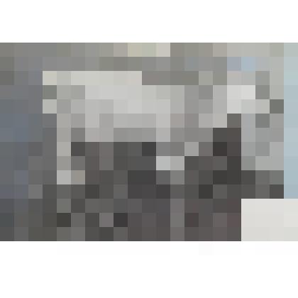 Фотография.  "Альфа"