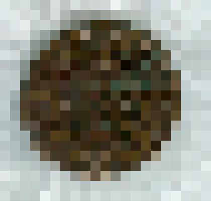 Монета полушка