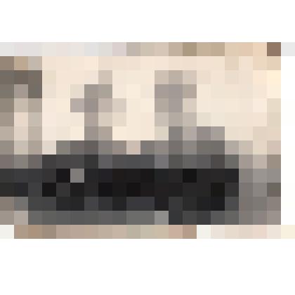 Ф/чб. Бойцы 326-го артиллерийского полка 148-й стрелковой дивизии. Командир дивизиона Барский, зам. по политчасти Клочков. Чехословакия. 25.05.1945