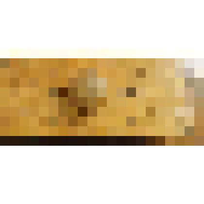 Пресс-папье