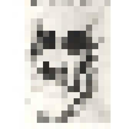 Фотокопия рисованного портрета Чичерина А. В., сделанного незадолго до смерти