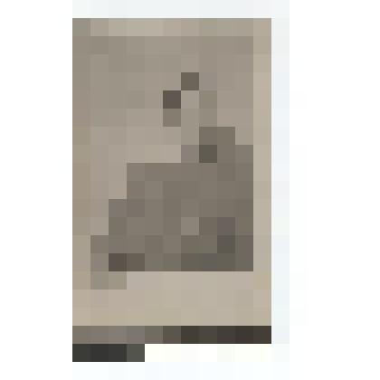 Фото/чб. Майор Костин И.С., зам. по политчасти армейского полевого госпиталя 5264. Германия. 1945