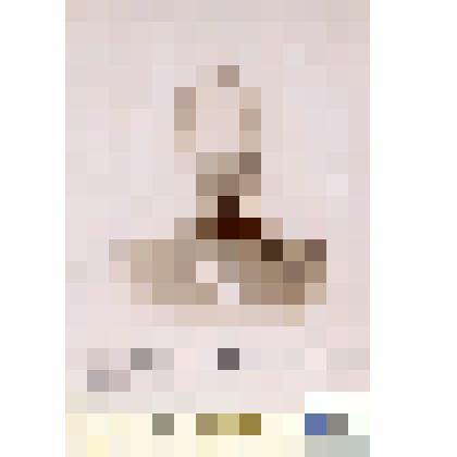 Фотография черно-белая. Петеров Константин Каспарович