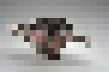 Чаша декоративная, из композиции "Крит. Средиземное море"