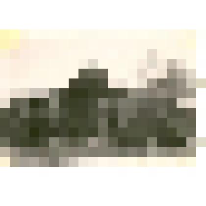 Фотография: центральный корпус городской больницы в загородной роще г.Камень-на-Оби Алтайского края. Сгорел в 1981 г