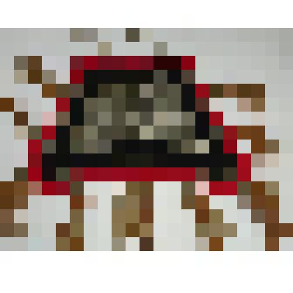 Часть конского убранства "чаппараах". Чепрак, из комплекта конского убранства