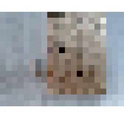 Игла морского ежа