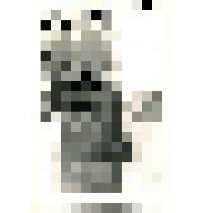 Фотография портретная. Малюгин С.Д